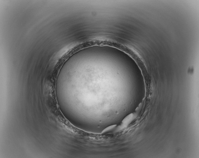 X0000089350823200706221136