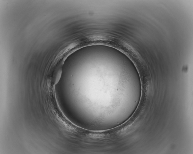 X0000089350825200706221136