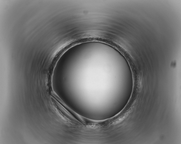 X0000089350826200706221136