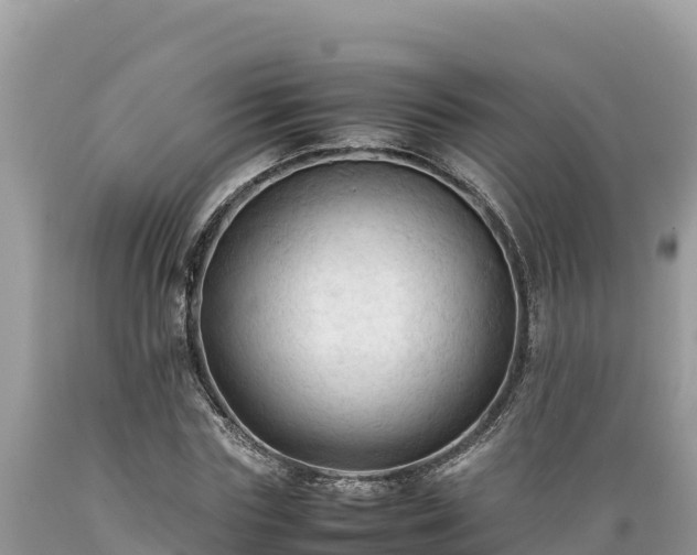 X0000089350827200706221136