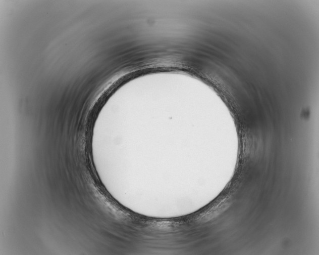 X0000089350828200706221136