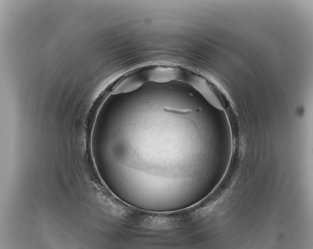 X0000089350829200706221136