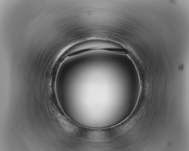 X0000089350830200706221136
