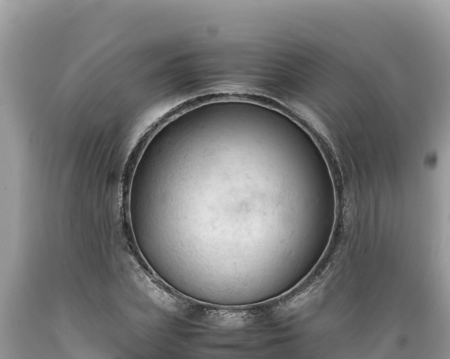 X0000089350831200706221136