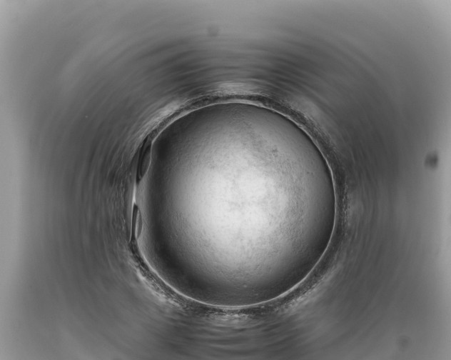 X0000089350833200706221136