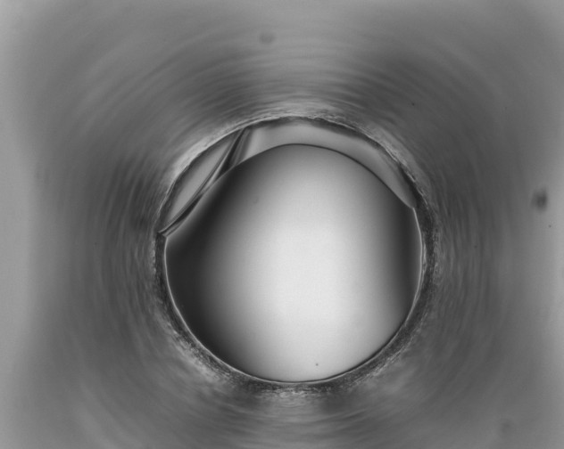 X0000089350834200706221136