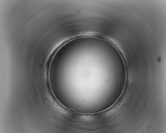 X0000089350835200706221136