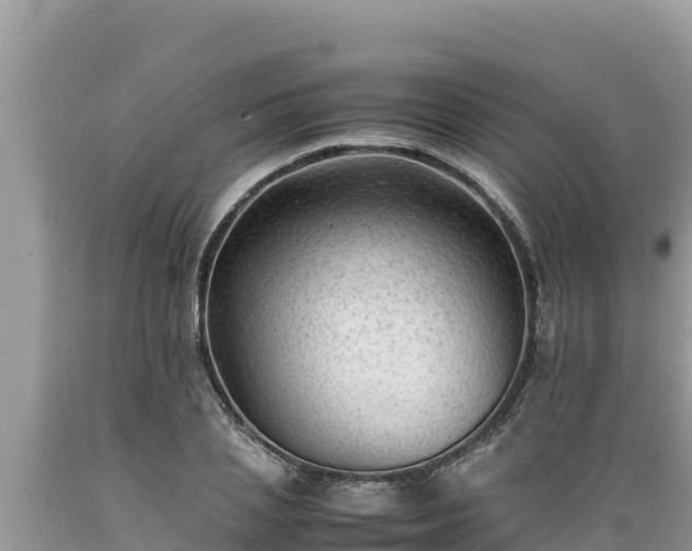 X0000089350837200706221136