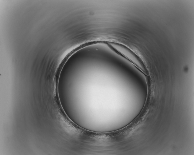 X0000089350838200706221136