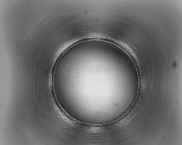 X0000089350839200706221136