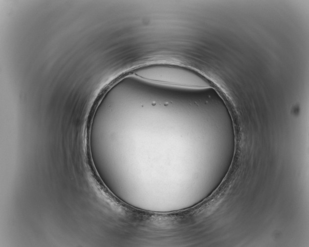 X0000089350840200706221137