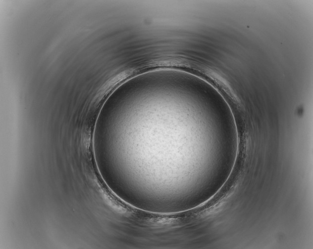 X0000089350841200706221137