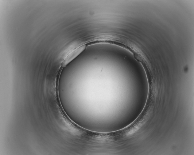 X0000089350842200706221137