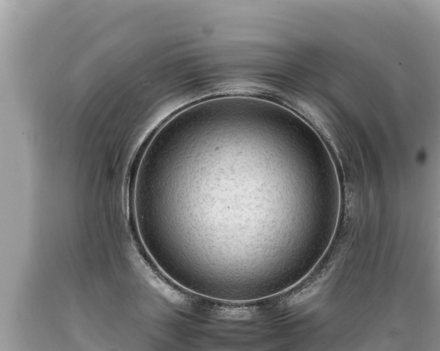 X0000089350843200706221137