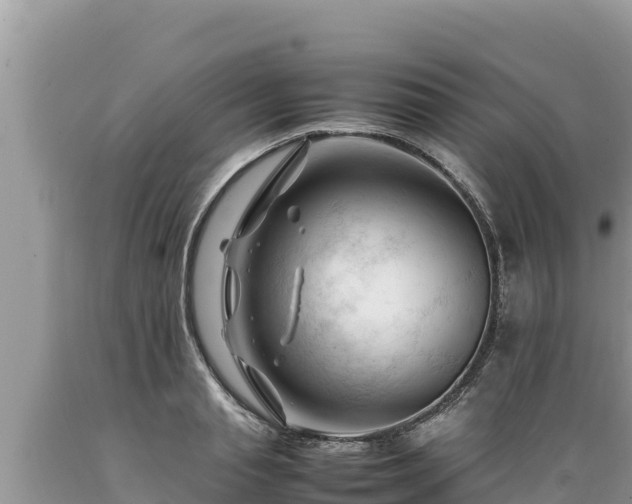 X0000089350845200706221137