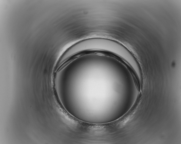 X0000089350846200706221137