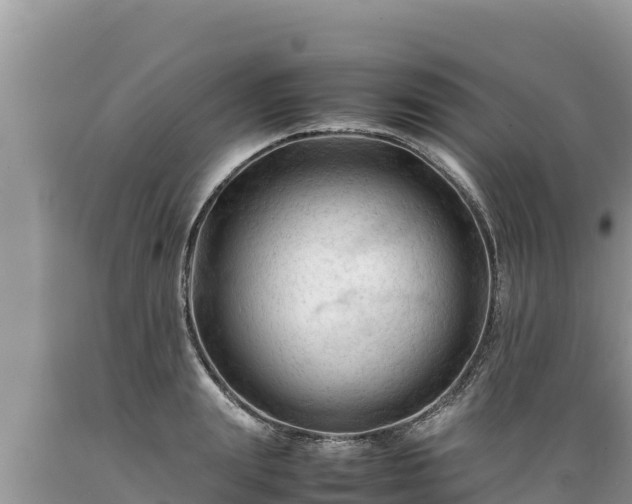 X0000089350847200706221137