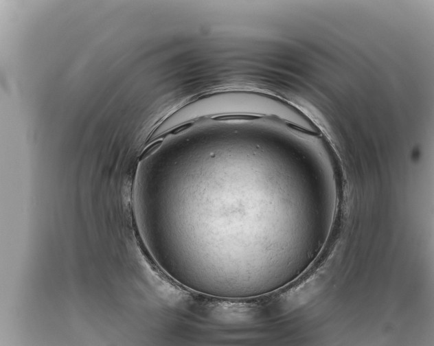 X0000089350849200706221137