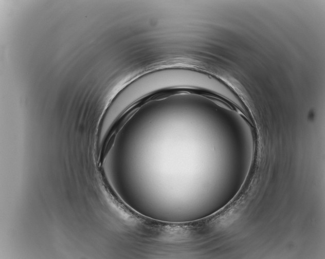 X0000089350850200706221137