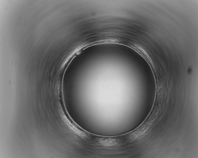 X0000089350851200706221137