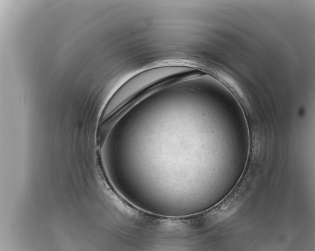 X0000089350852200706221137