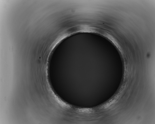 X0000089350853200706221137