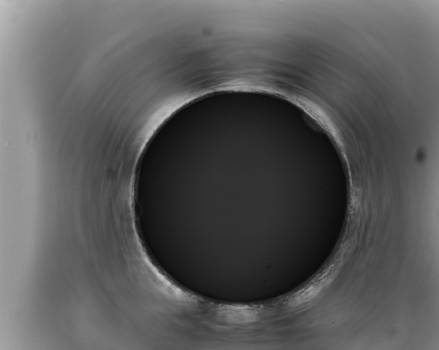X0000089350855200706221137