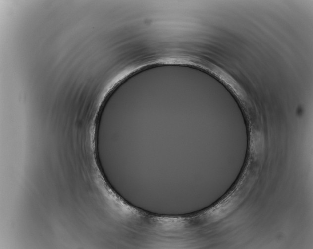 X0000089350856200706221137
