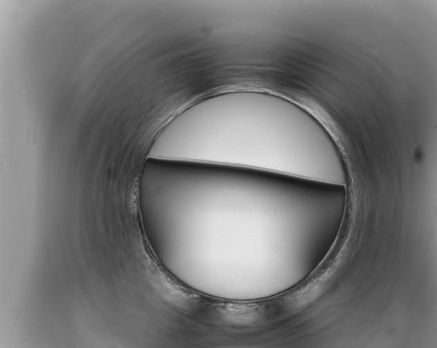X0000089350857200706221137