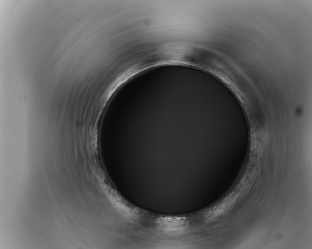 X0000089350858200706221137