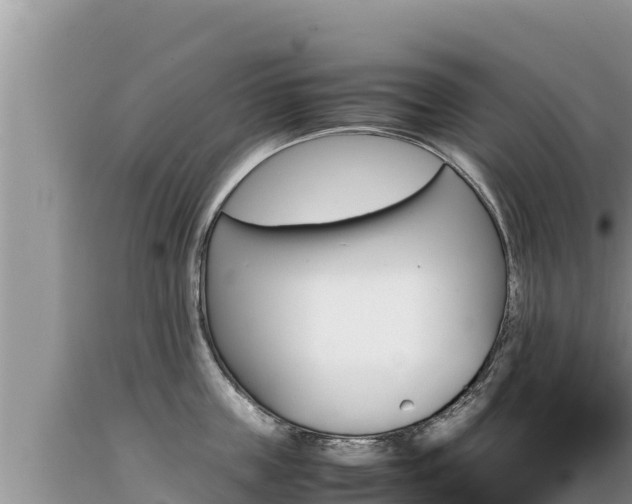 X0000089350859200706221137