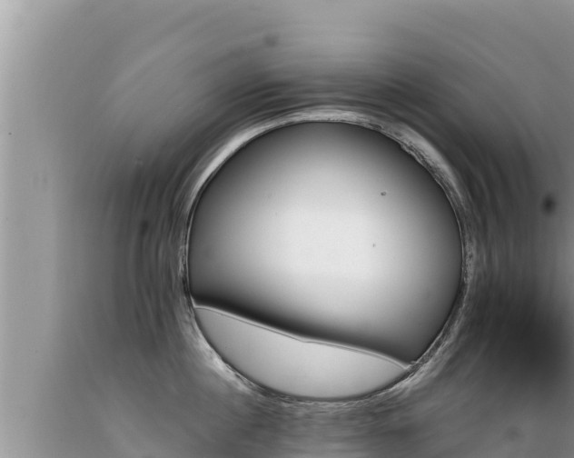 X0000089350860200706221137