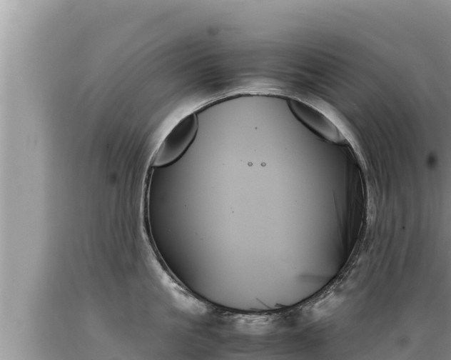 X0000089350861200706221137