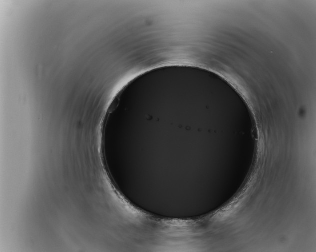 X0000089350862200706221137