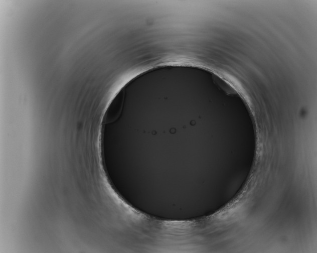 X0000089350863200706221137