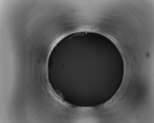 X0000089350864200706221137
