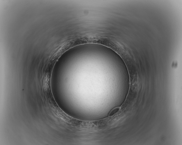 X0000089350866200706221136