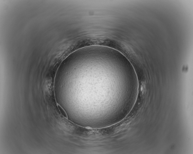 X0000089350867200706221136