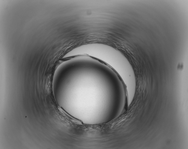 X0000089350868200706221136