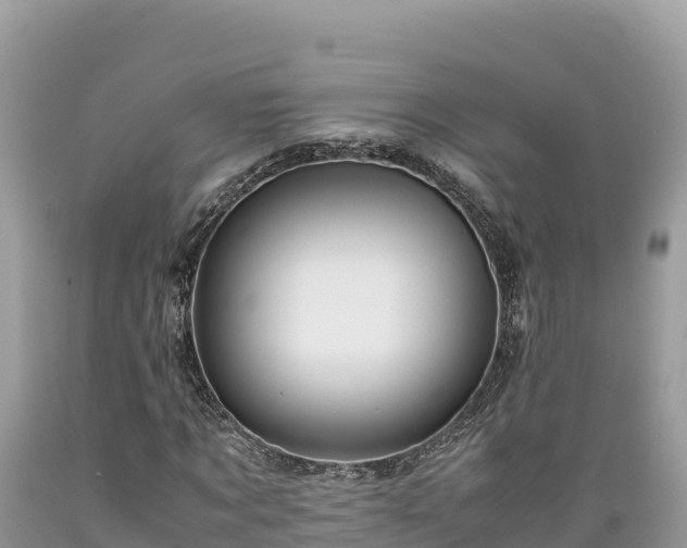X0000089350869200706221136