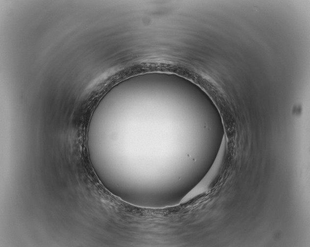 X0000089350870200706221136