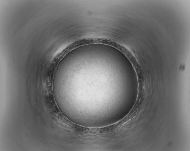 X0000089350871200706221136
