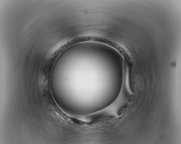 X0000089350872200706221136