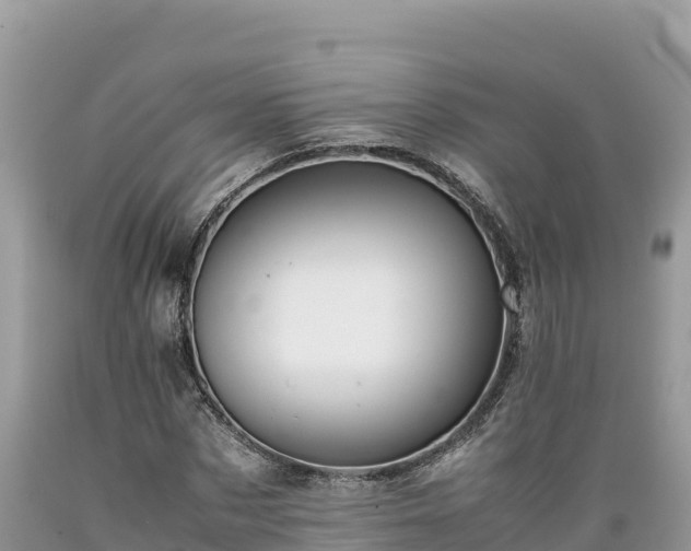 X0000089350873200706221136