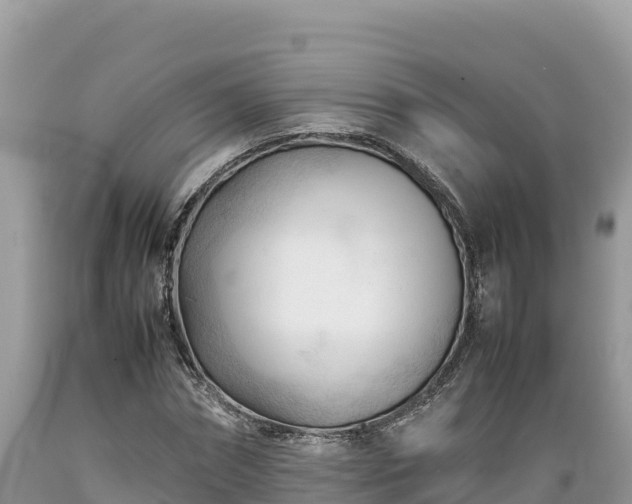 X0000089350874200706221136