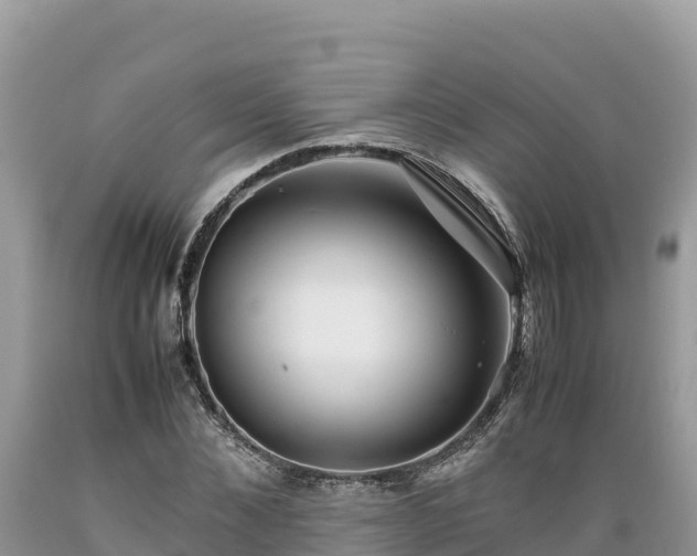 X0000089350876200706221136