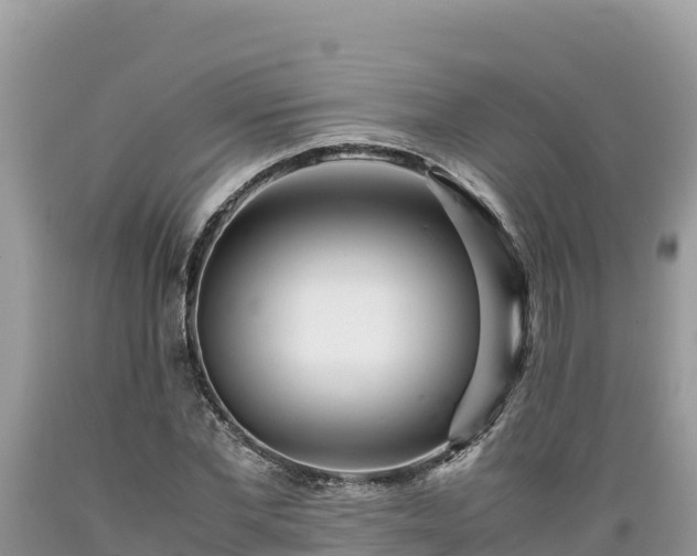 X0000089350877200706221136