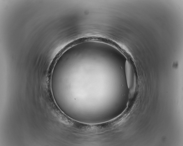 X0000089350879200706221136