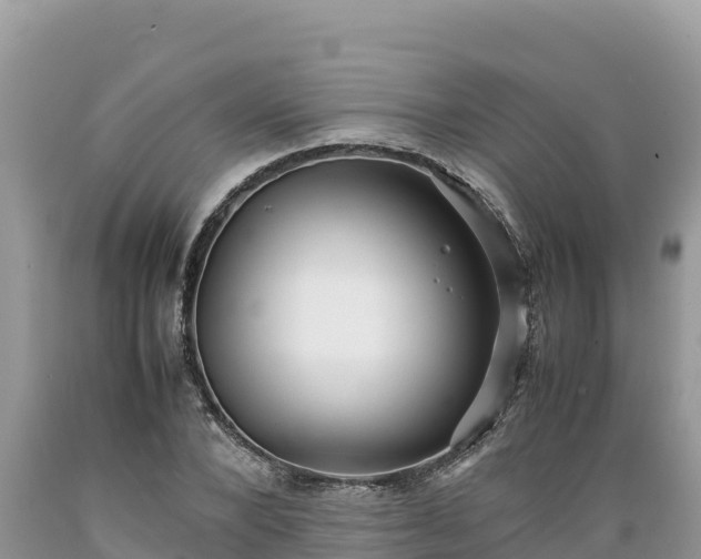X0000089350880200706221136