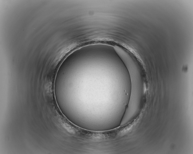 X0000089350881200706221136